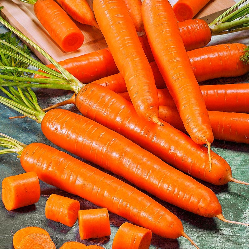 Морковь мармеладница описание сорта фото