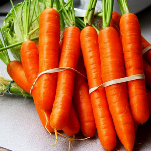 Морковь ТУШОН (2 гр)